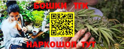 Альфа ПВП Кандалакша