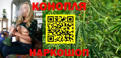 ALPHA-PVP Камышлов
