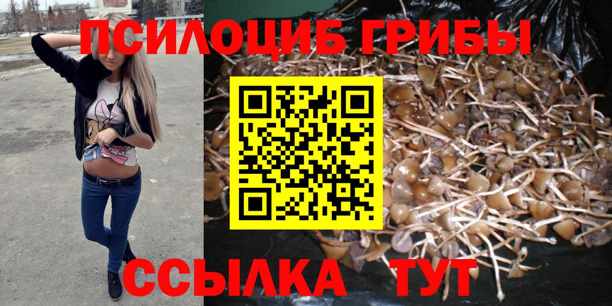 Кропоткин  Галлюциногенные грибы GOLDEN TEACHER  Псилоцибиновые грибы Magic Shrooms  Вход с VPN 
